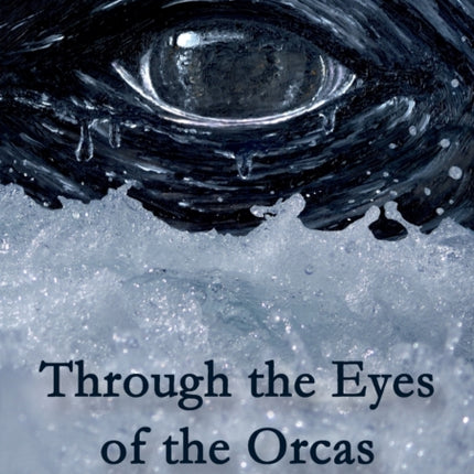 Through the Eyes of the Orcas
