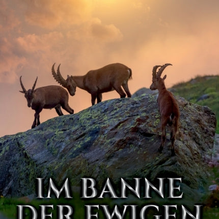 Im Banne der ewigen Gletscher: Roman