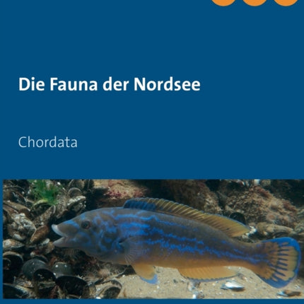 Die Fauna der Nordsee: Chordata