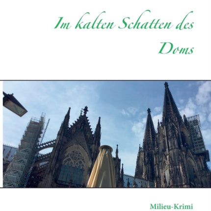 Im kalten Schatten des Doms: Milieu-Krimi