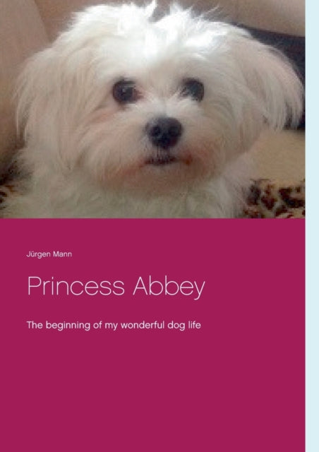 Princess Abbey: The beginning of my wonderful dog