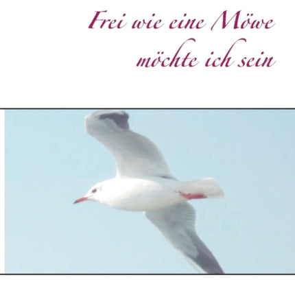 Frei wie eine Möwe möchte ich sein: Die