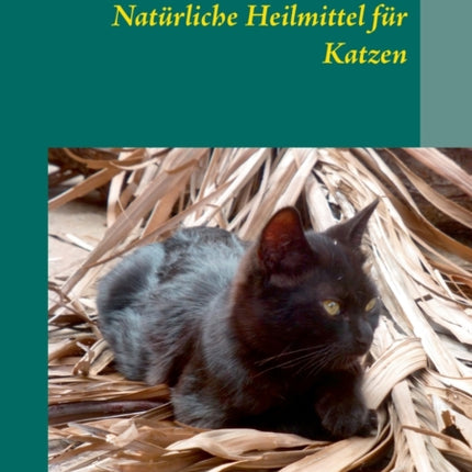 Natürliche Heilmittel für Katzen
