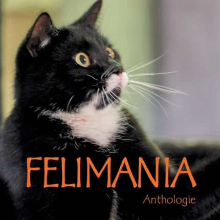 Felimania