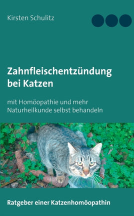 Zahnfleischentzündung bei Katzen: mit Homöopathie und mehr Naturheilkunde selbst behandeln