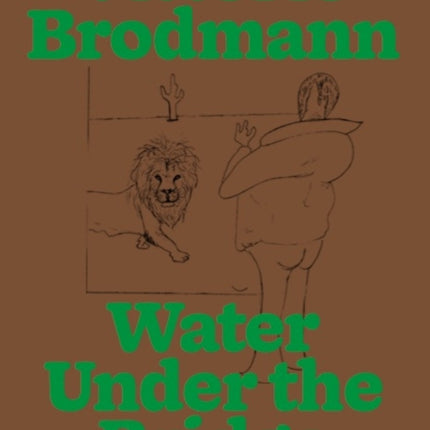 Vittorio Brodmann: Water Under the Bridge