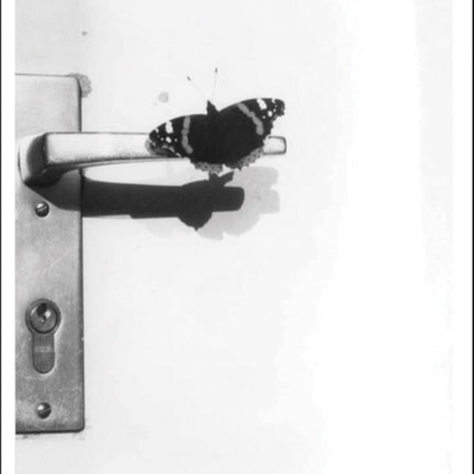 Jochen Lempert Multilingual edition