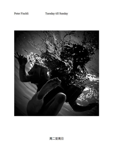 Gabriel Massan  Third World The Bottom Dimension