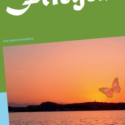 Fliegen: Eine andere Verwandlung