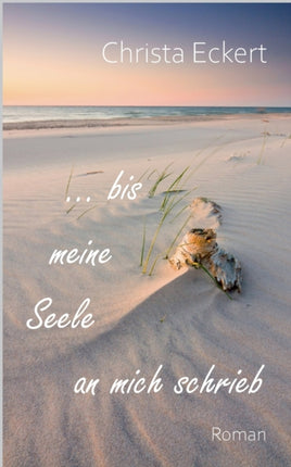 Bis meine Seele an mich schrieb: Roman
