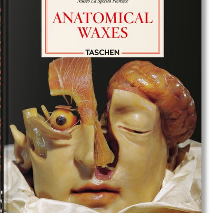 Anatomical Waxes. 45th Ed.