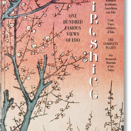 Hiroshige. One Hundred Famous Views of Edo. 45th