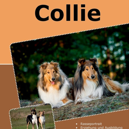 Traumrasse: Collie:2. aktualisierte Auflage