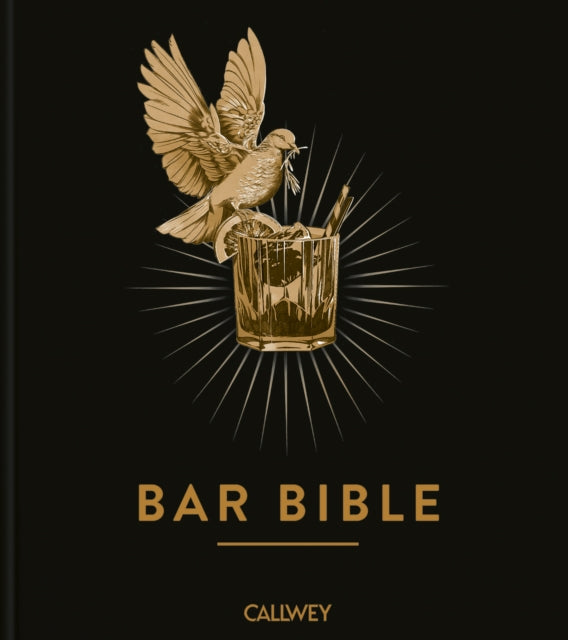 Bar Bible English Edition
