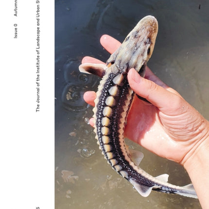 DELUS: The Journal of the Institute of Landscape