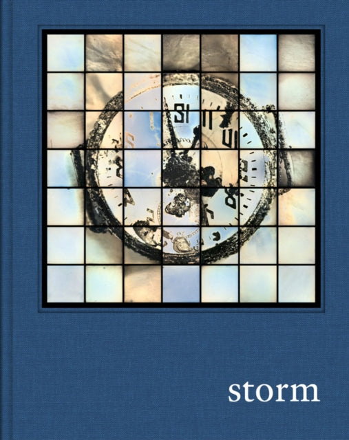 Prix Pictet Storm