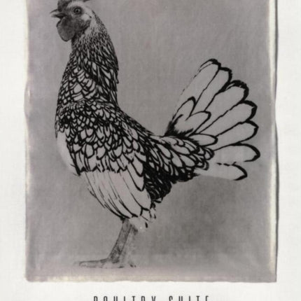 Jean Pagliuso: Poultry Suite
