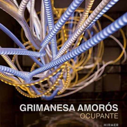 Grimanesa Amorós: Ocupante