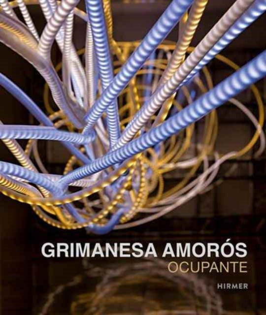 Grimanesa Amorós: Ocupante