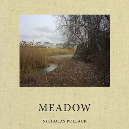 Nicholas Pollack: Meadow