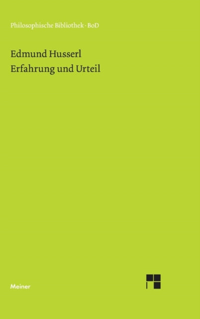Erfahrung und Urteil: Untersuchungen zur