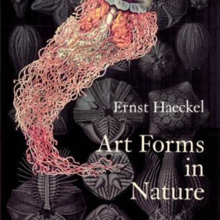 Art Forms in Nature: The Prints of Ernst Haeckel