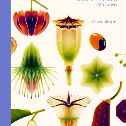 Seeds