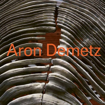 Aron Demetz