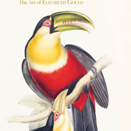 Birds of the World: The Art of Elizabeth Gould