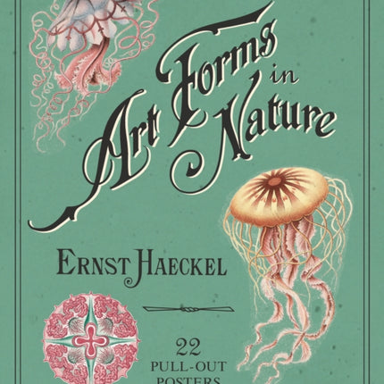 Ernst Haeckel: Art Forms in Nature: 22 Pull-Out Posters