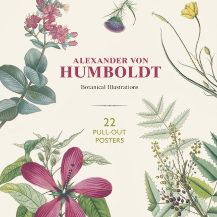 Alexander Von Humboldt: 22 Pull-Out Posters