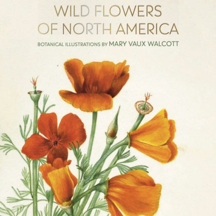 Wild Flowers of North America: Botanical Illustrations by  Mary Vaux Walcott