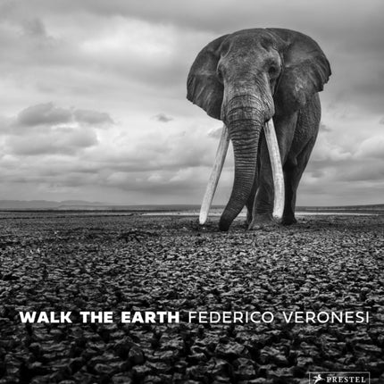 Walk the Earth