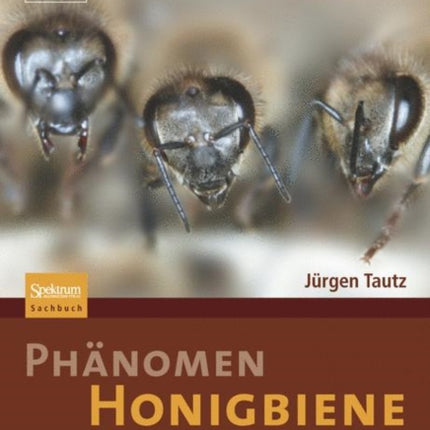 Phänomen Honigbiene