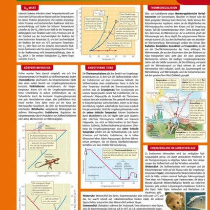 Lerntafel: Tierphysiologie im Überblick