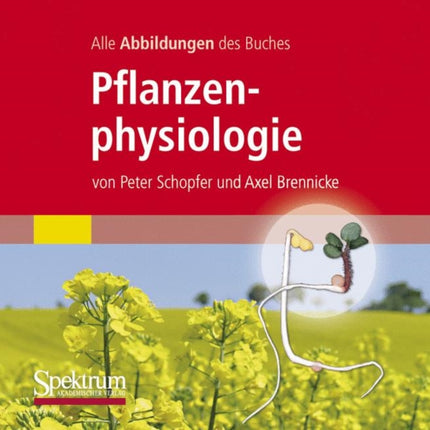 Alle Grafiken Des Lehrbuchs Pflanzenphysiologie