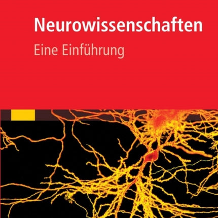 Neurowissenschaften: Eine Einführung