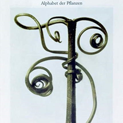 Karl Blossfeldt: Alphabet of Plants