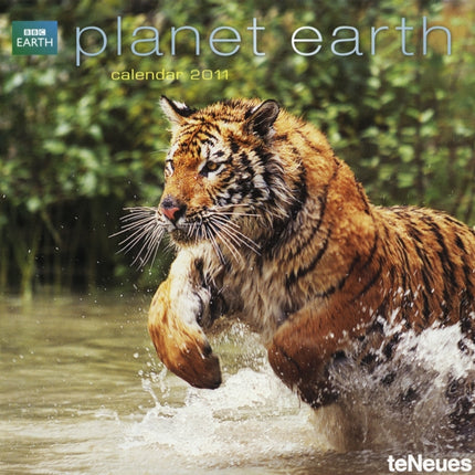 2011 BBC Planet Earth Grid Calendar Square Wall