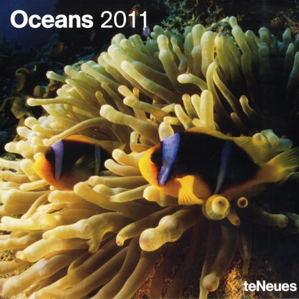 2011 Oceans Grid Calendar Square Wall Cal