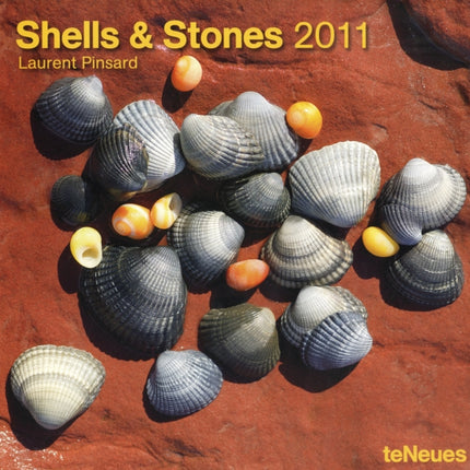 2011 Shells  Stones Grid Calendar Square Wall Cal