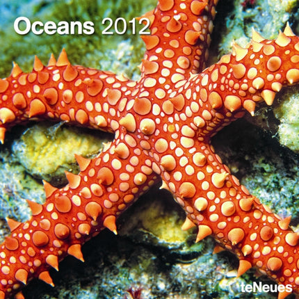 2012 Oceans Grid Calendar