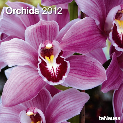 2012 Orchids Grid Calendar