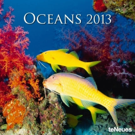 2013 Oceans Grid Calendar