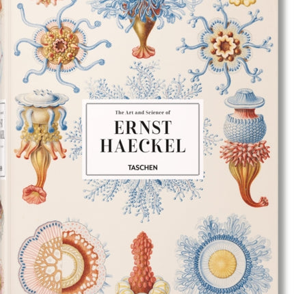 The Art and Science of Ernst Haeckel