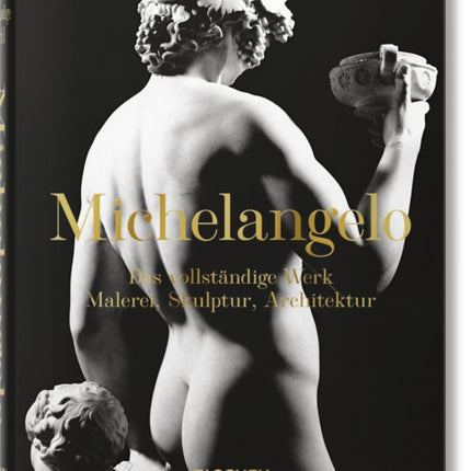 Michelangelo. Das vollständige Werk. Malerei