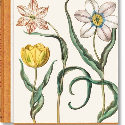 Basilius Besler. The Garden at Eichstätt