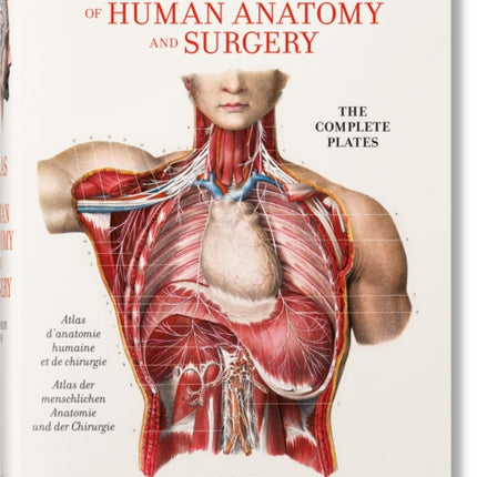 Bourgery. Atlas de Anatomía Humana Y Cirugía