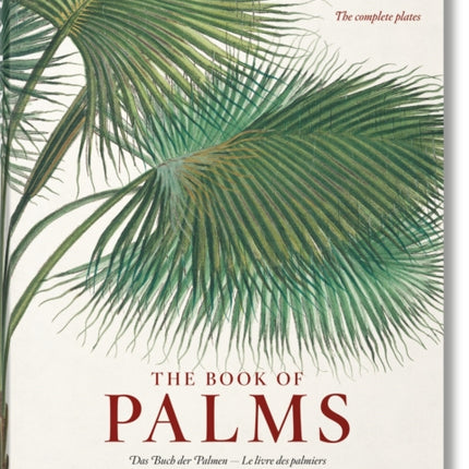 Martius. The Book of Palms