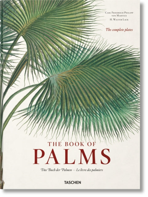 Martius. The Book of Palms